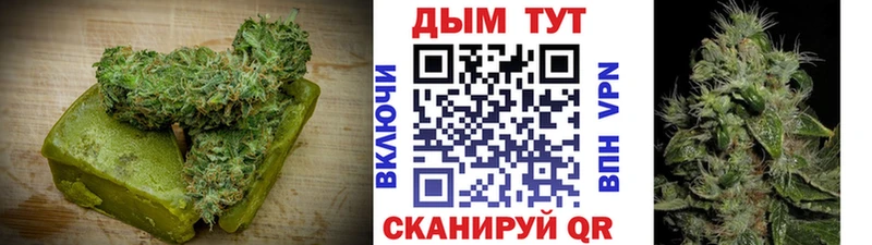 Canna-Cookies марихуана  blacksprut как войти  Бабаево 