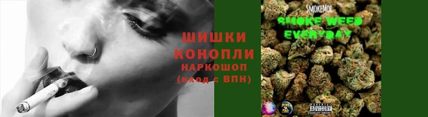 круглые Пересвет