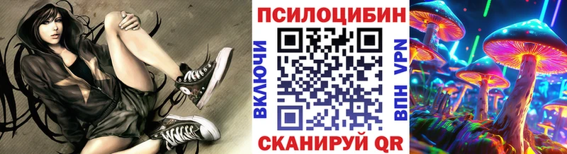 Галлюциногенные грибы GOLDEN TEACHER  Бабаево 